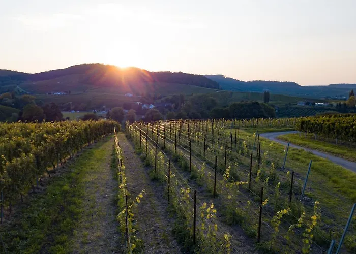 Breitenauer Aparthotel 3*